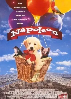 Napalyon смотреть онлайн бесплатно